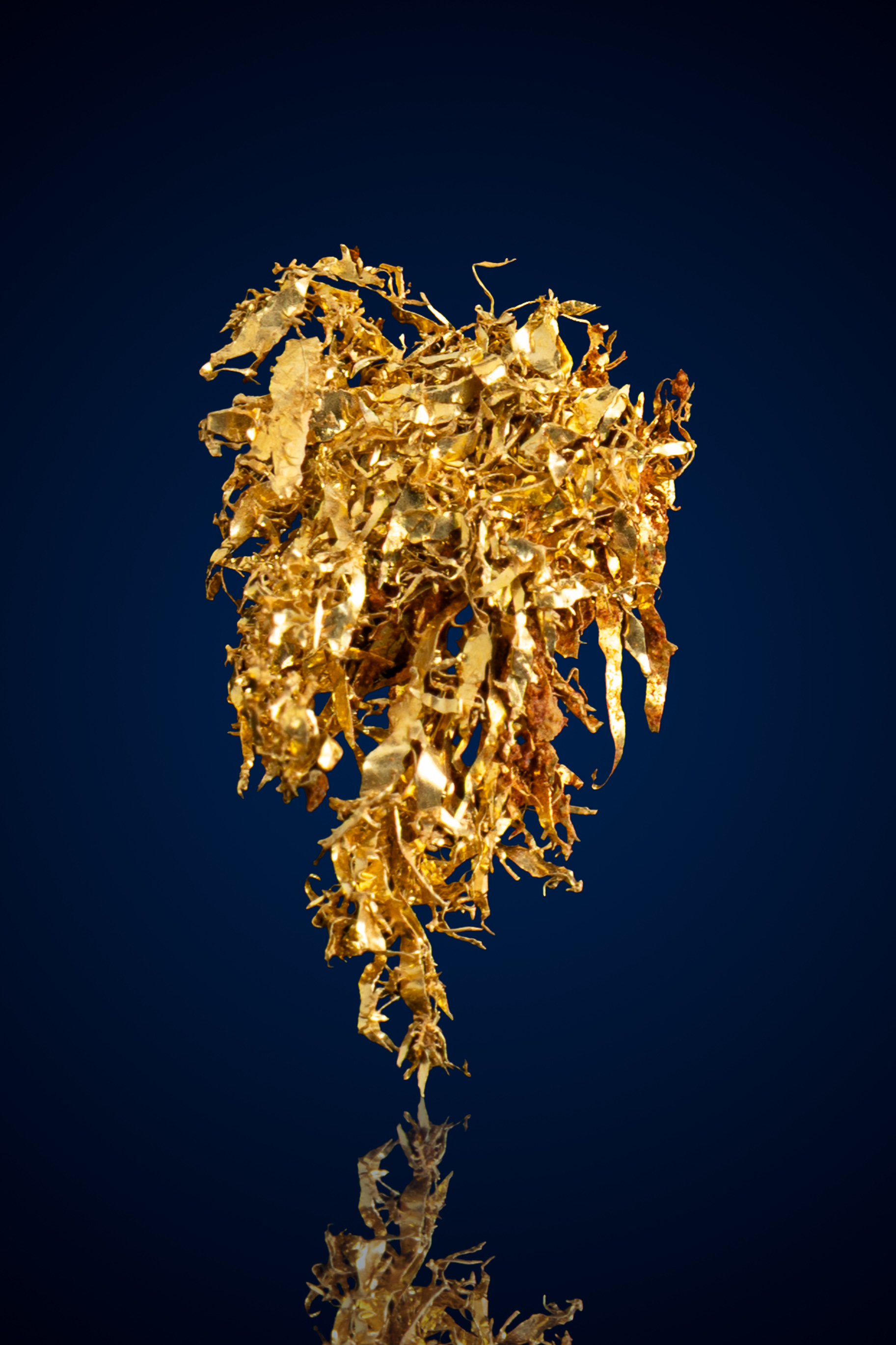Intricate, Wispy Natural Gold Specimen - Round Mountain, NV - 0.24 grams (image for) Intricate, Wispy Natural Gold Specimen - Round Mountain, NV - 0.24 grams